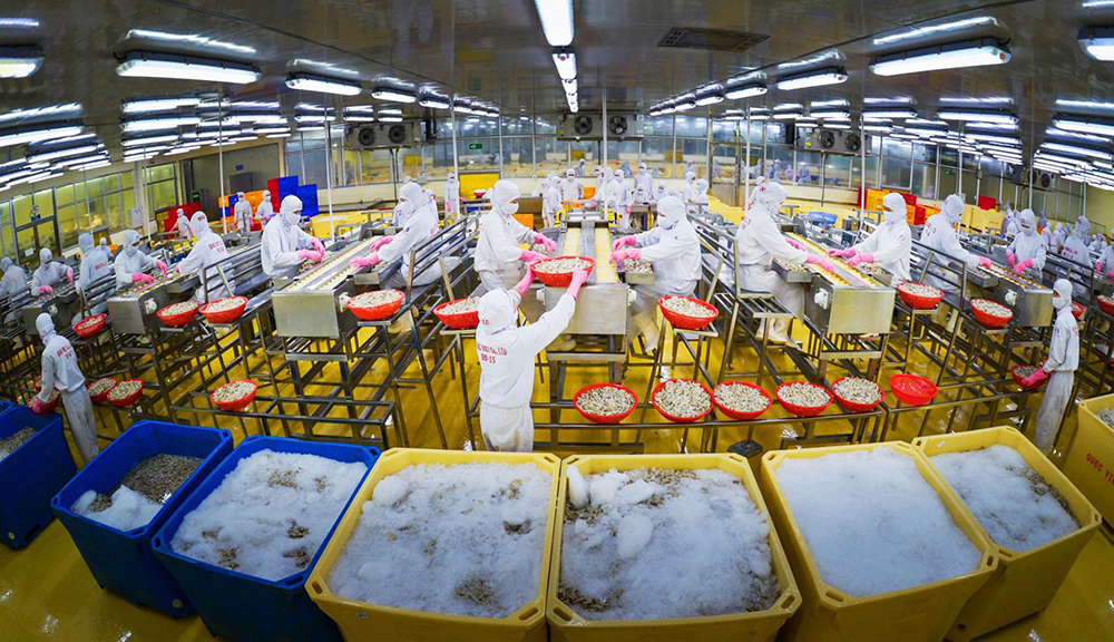 虾类是越南主要出口水产品之一。